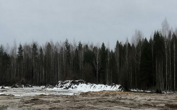 В Брянской области благодаря реализации нацпроекта ликвидируются несанкционированные свалки