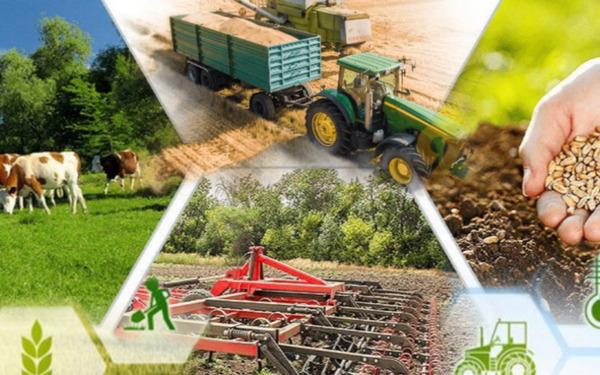 Брянщина в 2024 году планирует увеличить производство продукции животноводства