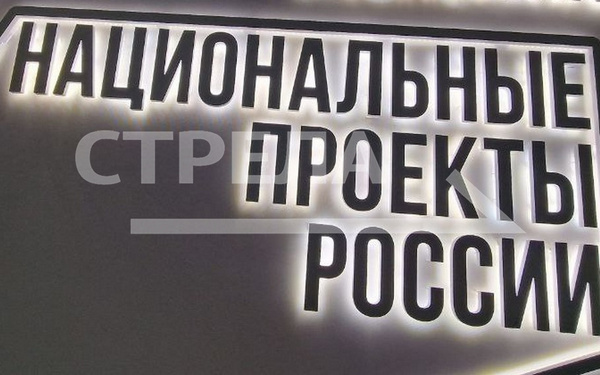 Гранты «Агростартап» в 2023 году получили 9 фермеров Брянщины