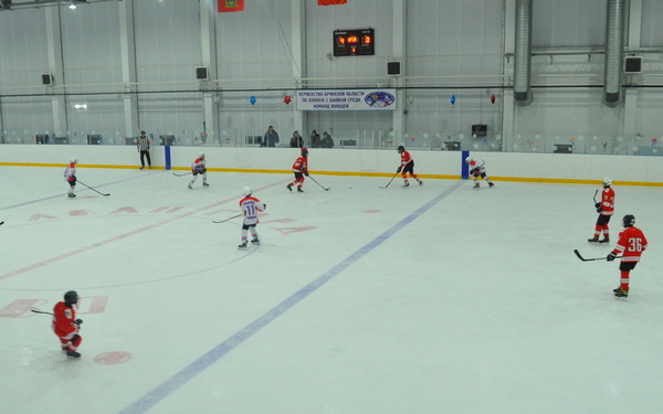 На Брянщине проходит региональный этап Всероссийского чемпионата по хоккею