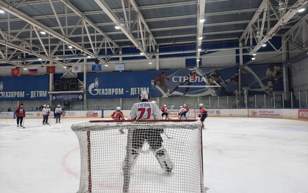 В Брянске проходит мастер-класс по хоккею