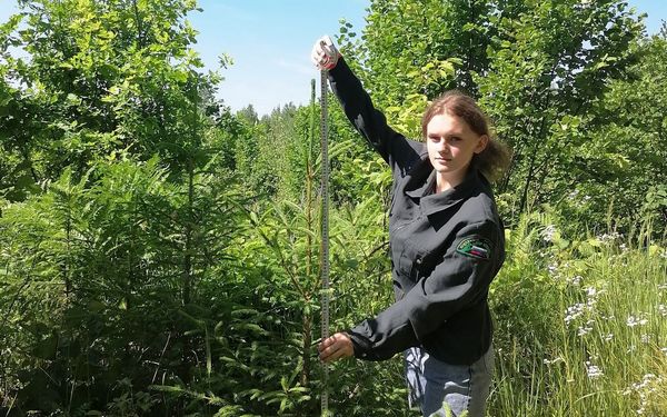 Брянскую область на Всероссийском юниорском лесном конкурсе «Подрост» представит школьница Ангелина Тартачная