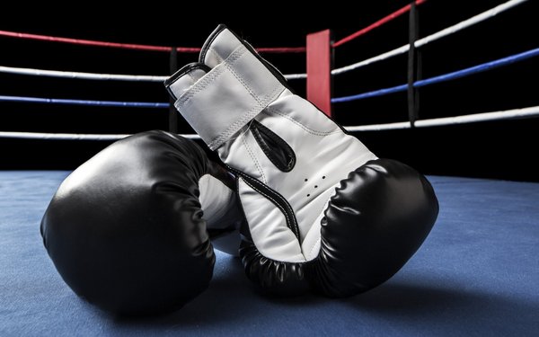 В Брянске пройдёт открытый турнир по боксу памяти воинов-интернационалистов