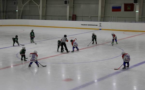 В брянском Стародубе прошли соревнования по хоккею «Золотая шайба»