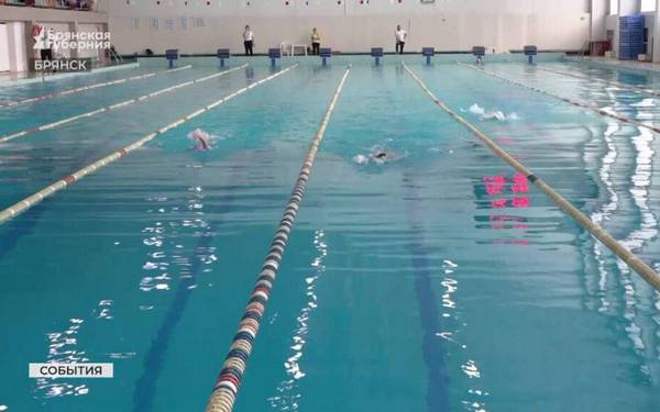 Современный спорткомплекс с тремя бассейнами будет построен в Карачеве