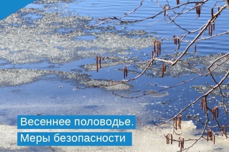 Рекомендации населению Брянской области о том, как обезопасить себя в паводок, половодье и наводнение