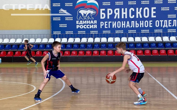 В Брянске во Дворце единоборств продолжаются тренировки белгородских баскетболистов