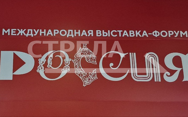 В стратегической сессии на выставке-форуме «Россия» принял участие губернатор Брянщины Александр Богомаз