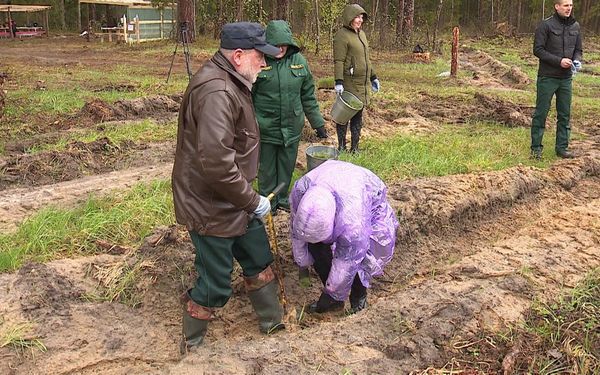 На Брянщине проходит международная акция «Сад памяти»