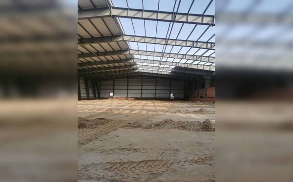 На реконструкции брянского ледового дворца «Пересвет» начался монтаж кровли