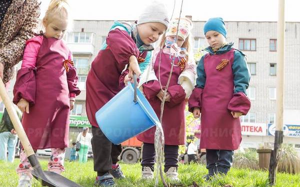 Семьи Брянска высадили на пустыре 30 деревьев и кустарников