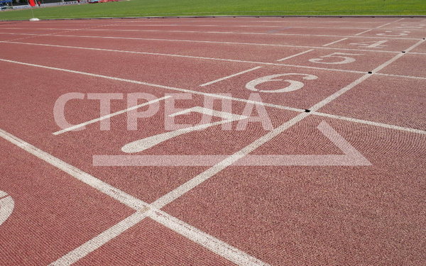 В брянских спортшколах тренируются более 7,5 тысячи человек