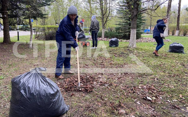 На Брянщине проходит общеобластной субботник