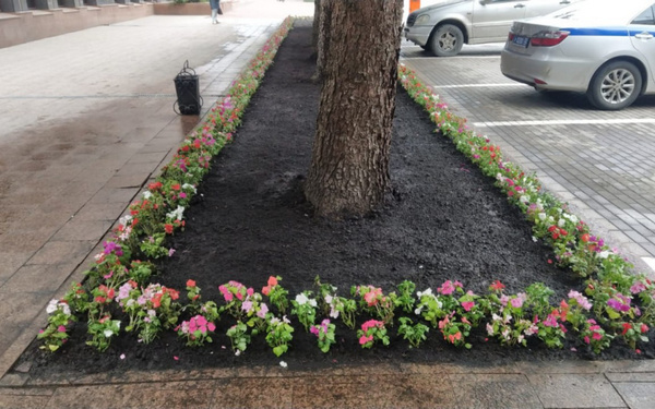 Более трёх тысяч брянцев поддержали Всероссийский субботник