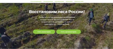 Волонтеры и экологисты Брянщины могут получить премию за помощь в восстановлении лесов