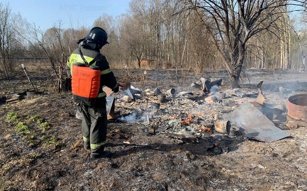 В Брянской области с 1 апреля наступил пожароопасный сезон