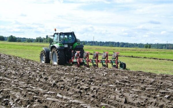 Мглинские сельскохозяйственные предприятия приступили к проведению весенних полевых работ