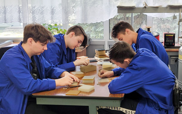 Летние работы для брянских школьников