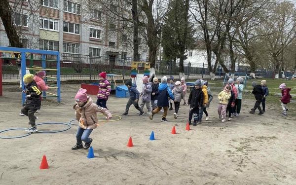 Организация и проведение прогулок