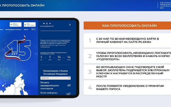 Губернатор Александр Богомаз: ««Единая Россия» проводит электронное предварительное голосование»