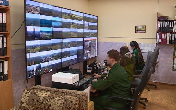 В Брянской области завершился срок действия особого противопожарного режима