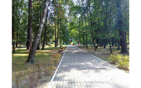 Почти 96 тысяч брянцев приняли участие в голосовании за реконструкцию общественных территорий