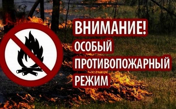 В лесах Брянской области введен особый противопожарный режим