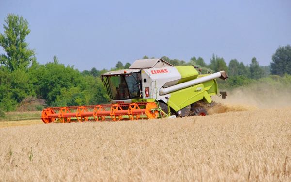По индексу сельхозпроизводства Брянская область вышла на 4-е место в стране
