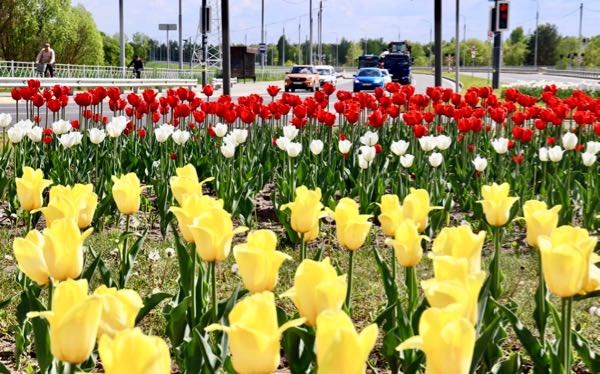 Брянск в числе лучших городов России по качеству жизни