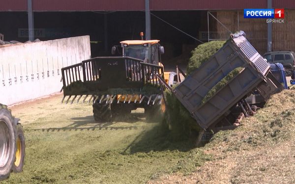 Сельхозпредприятия Брянщины начали заготовку кормов