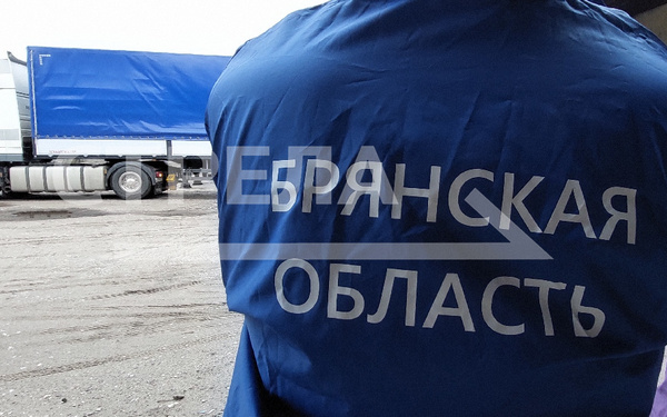 Брянская область поставила около 5 тонн гуманитарной помощи Донбассу и Белгородской области