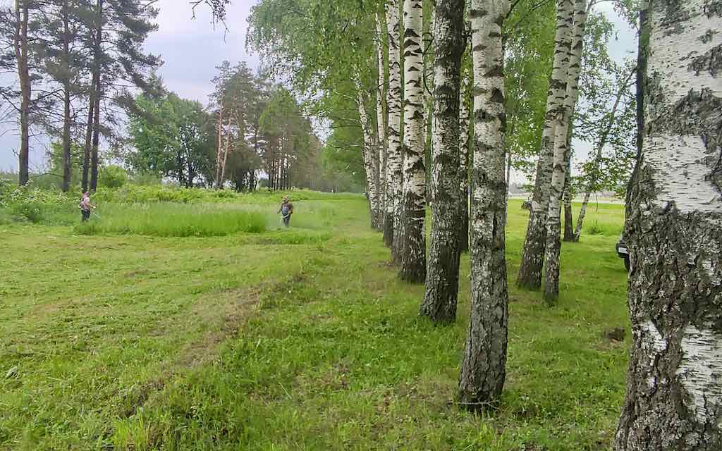 В области начали подготавливать территории к выставке «День Брянского поля – 2024»