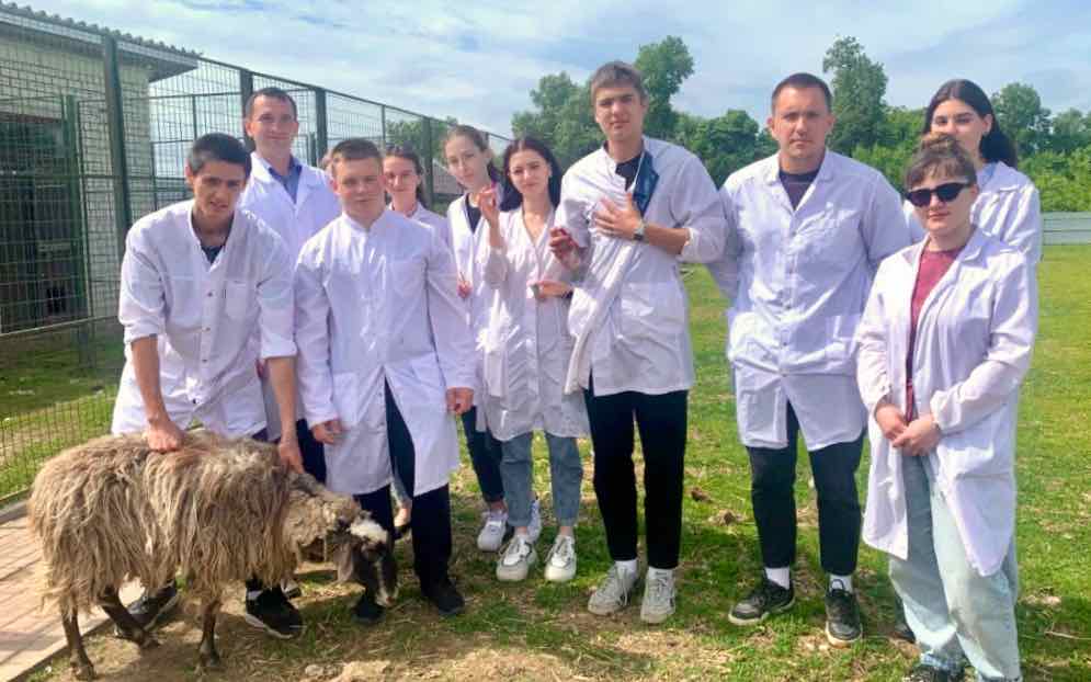 Студотряд «Айболит» Брянского ГАУ набирается опыта на практических занятиях