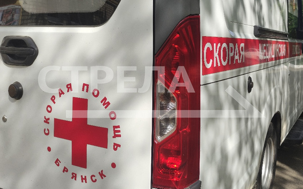 За девять лет автопарк брянских медицинских учреждений пополнился на 645 автомобилей