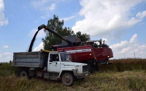 В Климовском районе началась уборка раннего картофеля и рапса