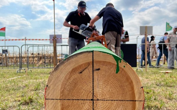 В брянском Кокино состоялись соревнования вальщиков леса «Лесоруб-2024»