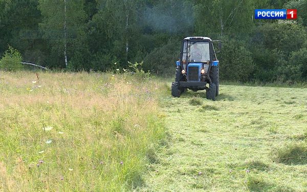 На Брянщине аграрии завершили заготовку кормов