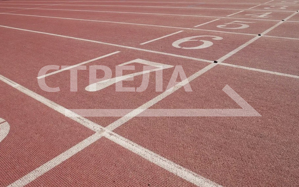 В рейтинге реализации комплекса ГТО Брянская область на 15 месте