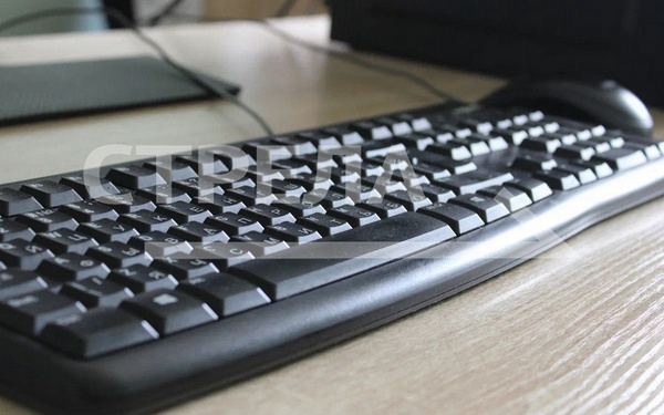 Самозанятые Брянской области могут реализовать себя благодаря нацпроекту