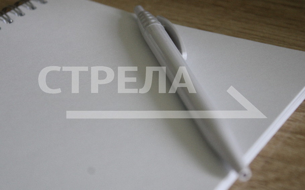 Брянская область входит в число лидеров по объему мер поддержки участников СВО