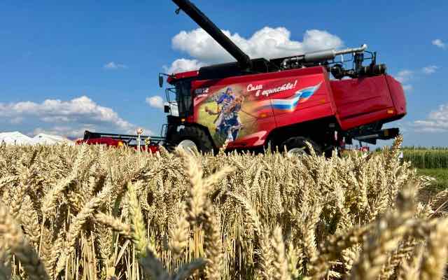 В Брянской области проходит масштабный день поля