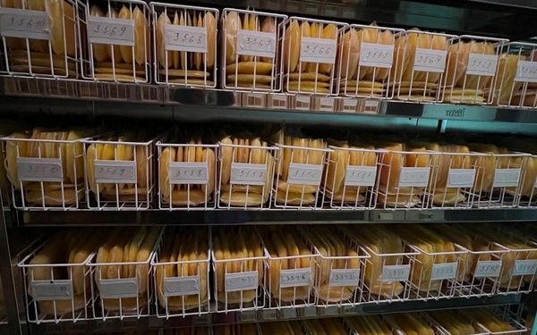 За минувшую неделю Брянскую областную станцию переливания крови посетили 517 добровольцев