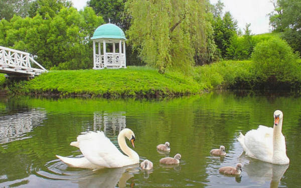 В музее-заповеднике ф.И. Тютчева работает выставка «Вальс цветов»