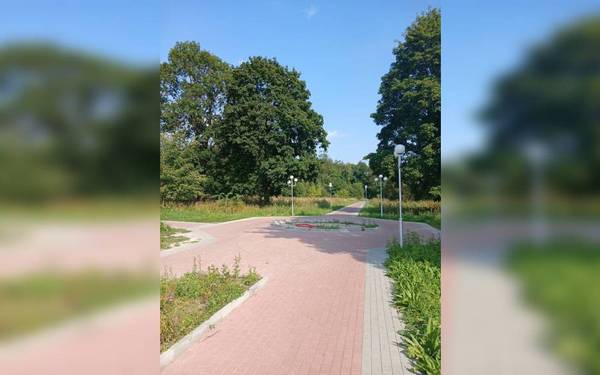 В Дятькове продолжается благоустройство городского парка