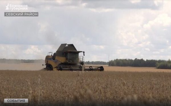 Аграрии Севского района полным ходом ведут уборку урожая