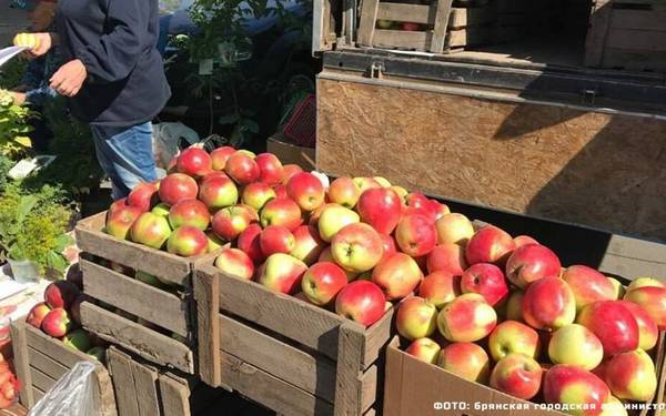 В Брянской области с 17 августа откроются ярмарки выходного дня