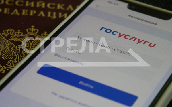 Жители Брянской области могут отдать свой голос за подключение сёл к интернету