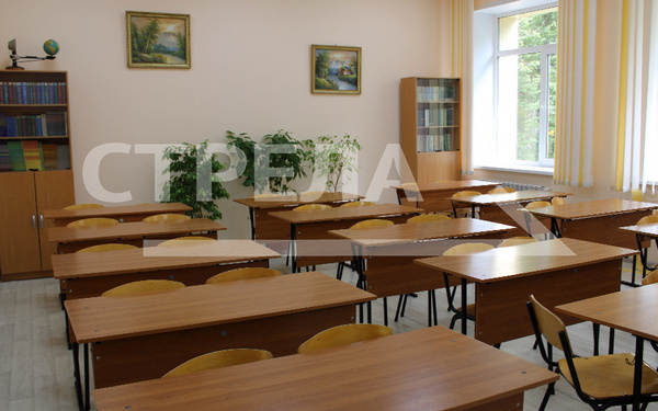 В новом учебном году в образовательные организации Брящины придут 200 молодых педагогов