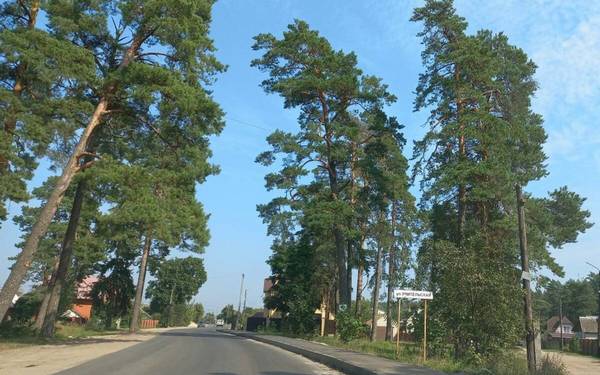 В брянской Жуковке на улице Учительской появился тротуар