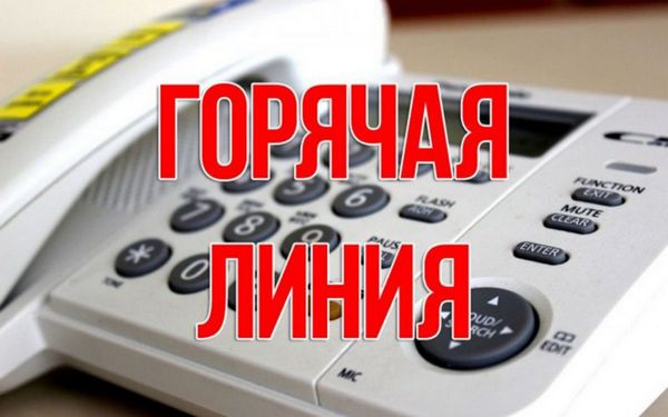 На Брянщине заработала «горячая» линия для жителей Курской области